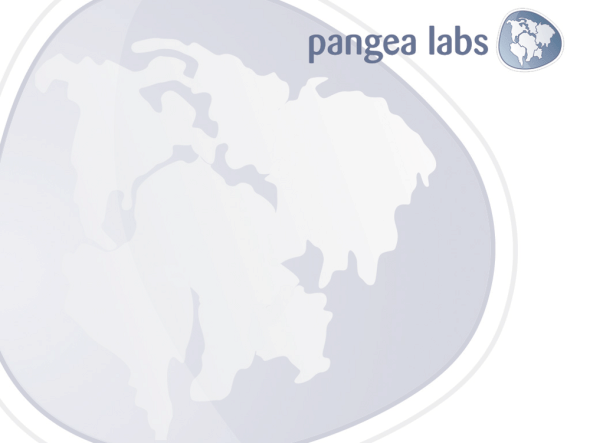 pangea__labs_questfox_900_transparent